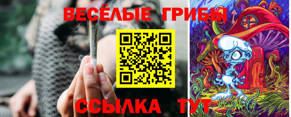 Камень-на-Оби  Галлюциногенные грибы Psilocybine cubensis  Вход с VPN 